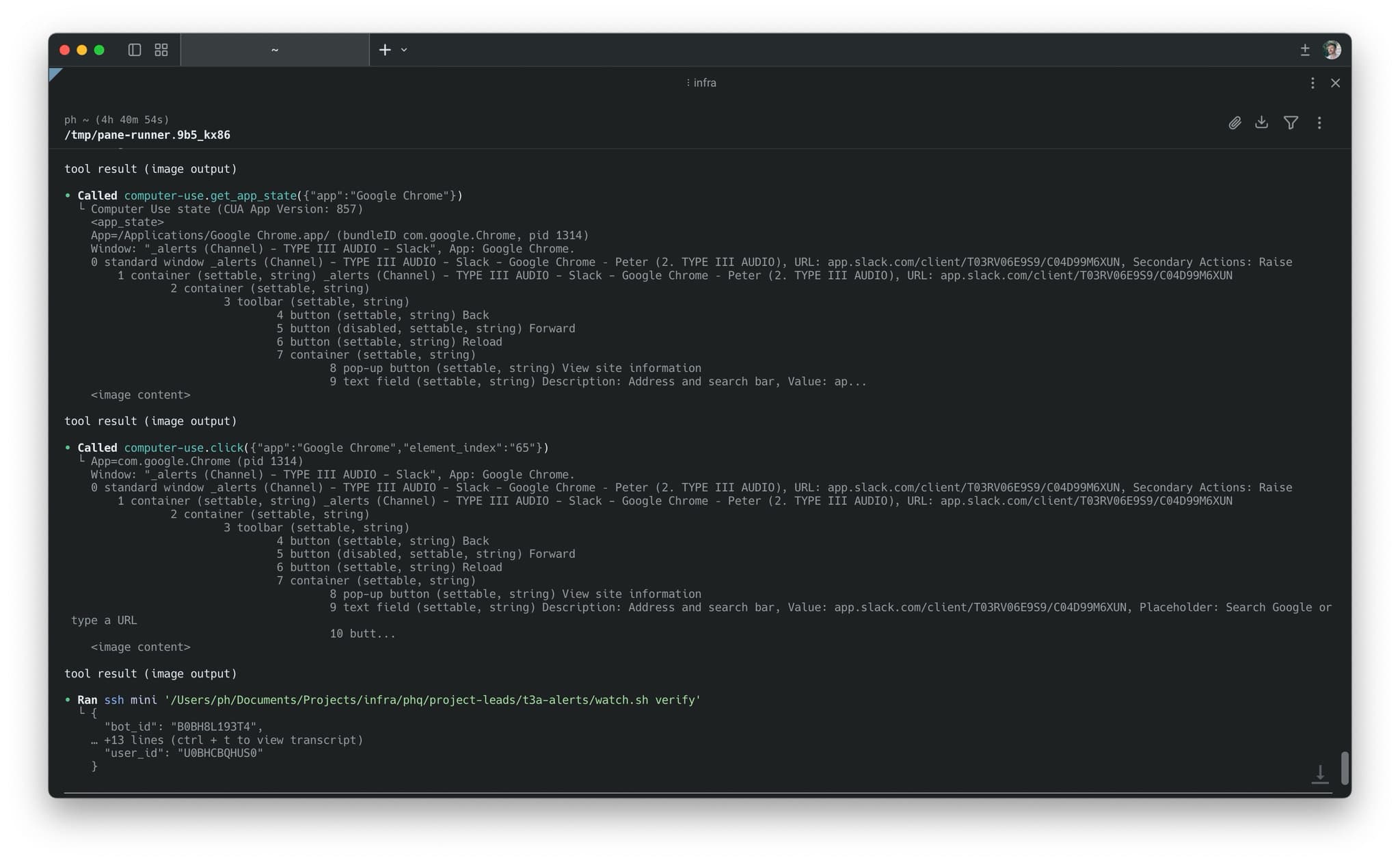 codex cli computer use